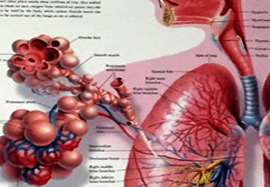 Asthma Infographic